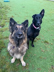 Princess & Tinkerbell - Merseyside